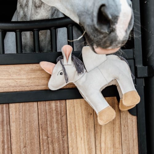 Langeweile im Stall: Beschäftigungstipps für dein Pferd und dich