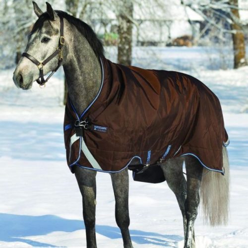Winterpflege von Pferd und Ausrüstung: Was muss ich beachten?