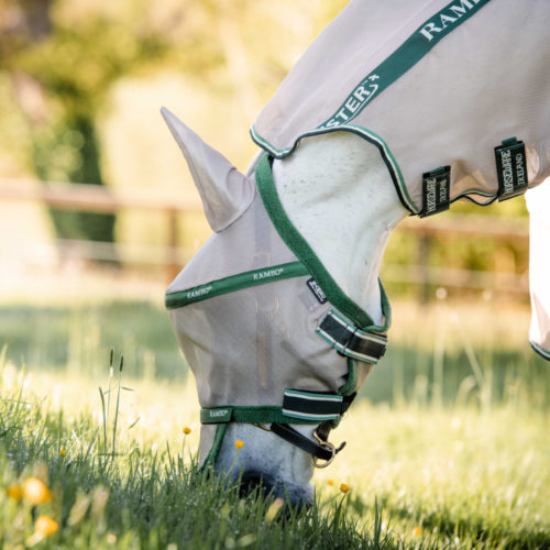Fliegenschutz für Pferde – So schützt du dein Pferd vor Insekten